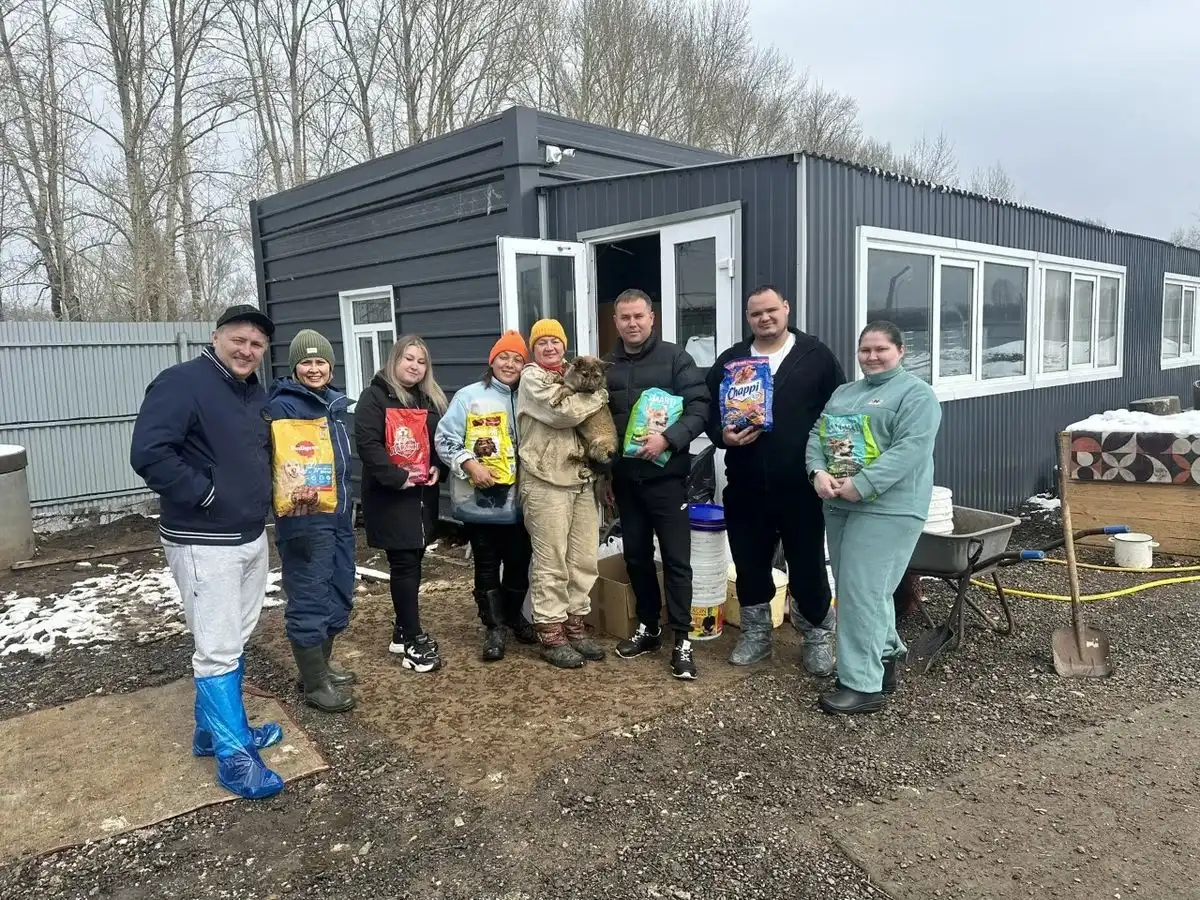 Приют для бездомных животных «Добрые руки»