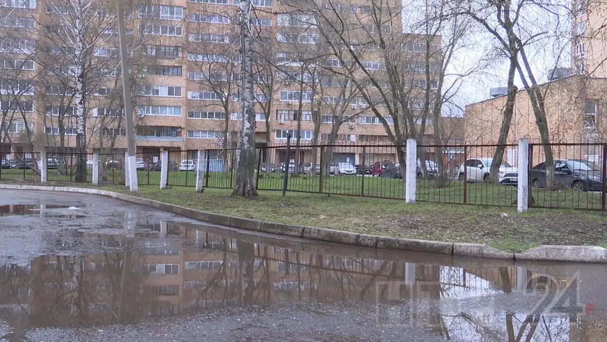 лужа апрель