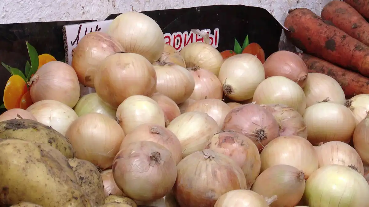 лук лежит в лотке в магазине