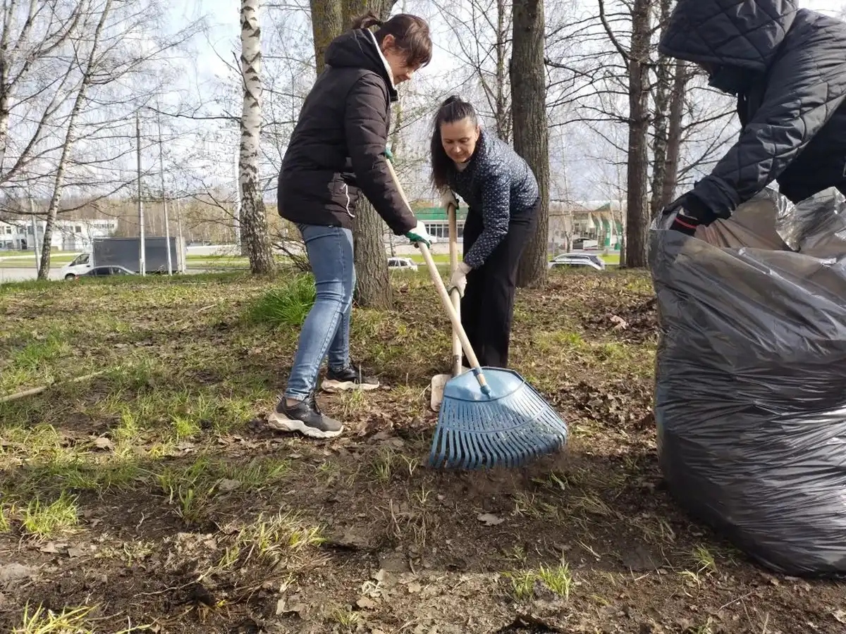 женщины убирают листву