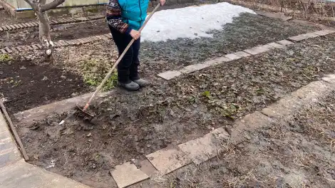 Какие работы провести в саду и огороде в майские выходные: полный чек-лист для дачника - телеканал НТР 24