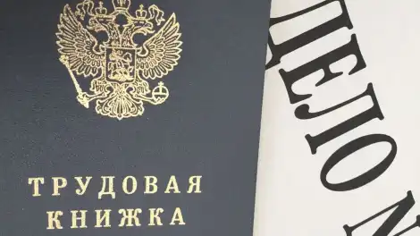 В Татарстане планируют ввести квоты на трудоустройство участников СВО - телеканал НТР 24