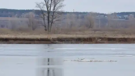 Арктический сюрприз в пятницу: Татарстан ждет резкий обвал температуры - телеканал НТР 24