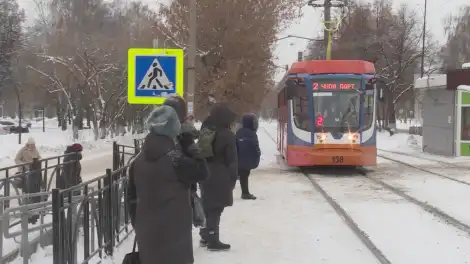 Подтверждать льготы на проезд в транспорте разрешили через мессенджер MAX - телеканал НТР 24