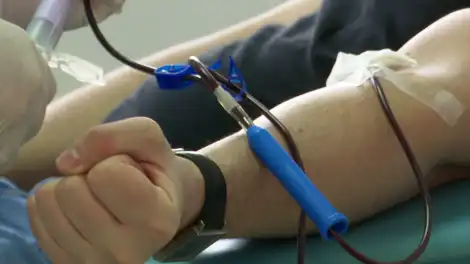 Спасти жизнь за 15 минут: в России стартовала Неделя донорства крови и костного мозга - телеканал НТР 24