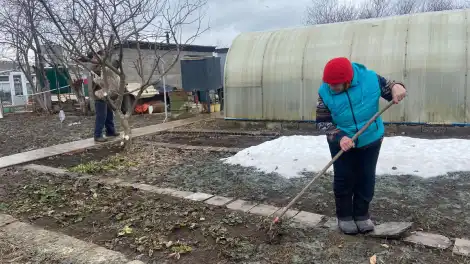 Дачный сезон без штрафов: МЧС напоминает правила безопасной уборки участков - телеканал НТР 24