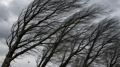 Сколько ещё продлится сильный ветер в Татарстане, рассказали синоптики - телеканал НТР 24