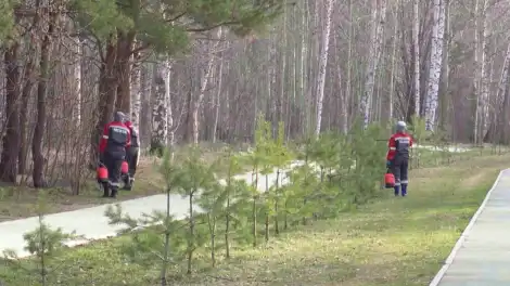 Как не стать жертвой клеща: советы главного санитарного врача Нижнекамска - телеканал НТР 24