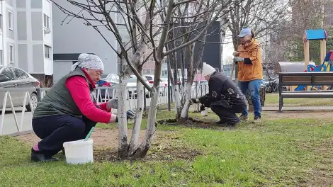 Не просто уборка, а традиция: как жильцы дома в Нижнекамске ухаживают за своим двором - телеканал НТР 24