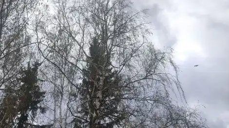 Штормовой ветер не утихнет: синоптики прогнозируют в Татарстане порывы до 26 м/с - телеканал НТР 24