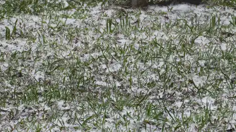 Внезапный снег в Нижнекамске спровоцировал рост числа ДТП - телеканал НТР 24