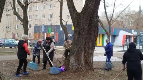 Жители микрорайона № 8 Нижнекамска вышли на субботник - телеканал НТР 24