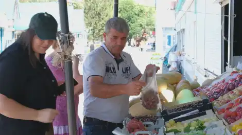 Нижнекамск в тройке лидеров Татарстана по прозрачности закупок - телеканал НТР 24