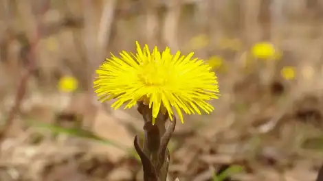 Когда тепло вернётся в Татарстан, рассказали синоптики - телеканал НТР 24