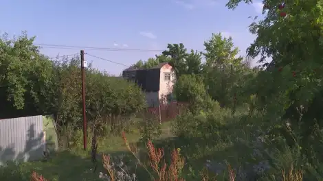 Расписание автобусов в дачные массивы Нижнекамска - телеканал НТР 24