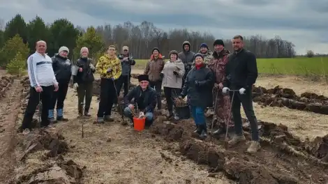 В Нижнекамском районе жители высадили более тысячи деревьев - телеканал НТР 24