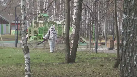 Озвучены последние данные по укусам клещей в Нижнекамском районе - телеканал НТР 24