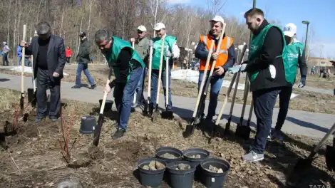 В Татарстан начался республиканский конкурс «Эковесна» - телеканал НТР 24