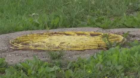 Нижнекамцев призвали не оставлять еду для животных на люках - телеканал НТР 24