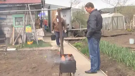 Перед дачным сезоном: МЧС РТ напомнило правила разведения костров и жарки шашлыка - телеканал НТР 24