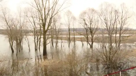 Зай вышел из берегов в Нижнекамском районе - телеканал НТР 24