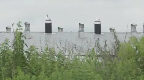 Татарстанцы могут онлайн проверить свои участки на соблюдение земельного кодекса - телеканал НТР 24