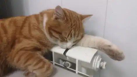 Объявлена дата отключения отопления в Нижнекамске - телеканал НТР 24