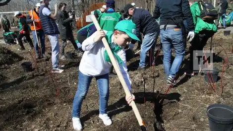 Центральный субботник пройдёт в парке Урицкого в Казани - телеканал НТР 24