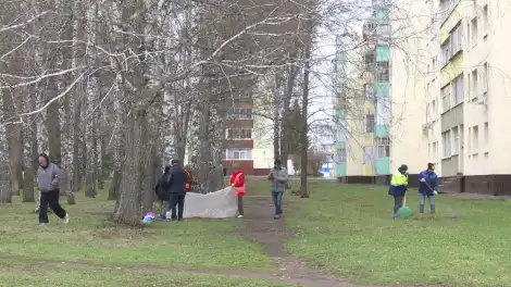 В Нижнекамске очистили от мусора участок на улице Болодурина - телеканал НТР 24