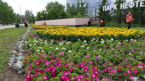 Нижнекамск готовится к преображению общественных пространств - телеканал НТР 24