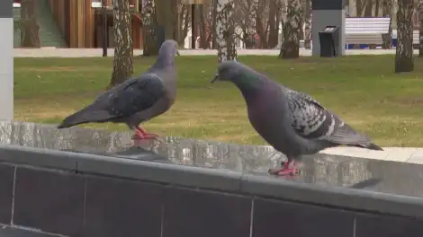 Какой будет погода в Татарстане в ближайшие выходные — прогноз синоптиков - телеканал НТР 24