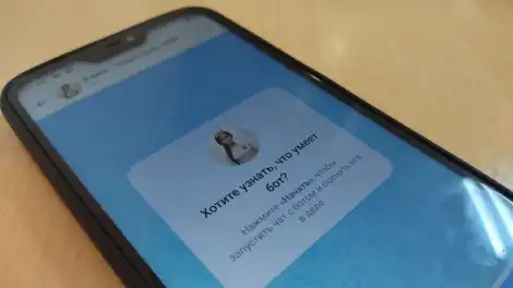 Нижнекамский чат-бот «Кама» заработал и в «Максе» - телеканал НТР 24