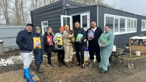 Неравнодушные нижнекамцы собрали корм приюту для бездомных животных «Добрые руки» - телеканал НТР 24