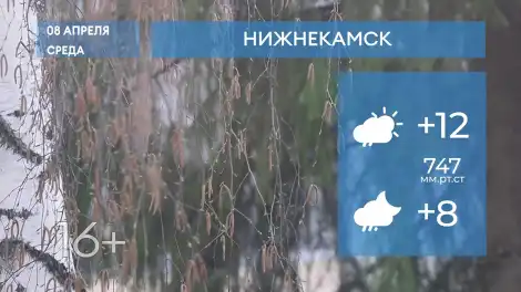 Прогноз погоды в Нижнекамске на 8-е апреля 2026 года - телеканал НТР 24