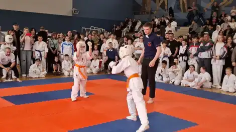 В Нижнекамске прошел Кубок памяти тренеров и спортсменов по карате киокусинкай - телеканал НТР 24