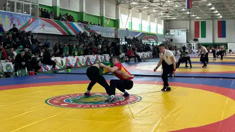 В Нижнекамске начался 32-й республиканский турнир по борьбе кореш - телеканал НТР 24