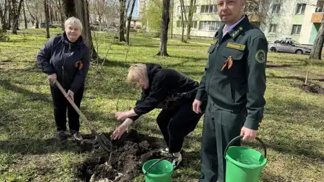 В Нижнекамске высадили сад память к 40-летию аварии на ЧАЭС - телеканал НТР 24