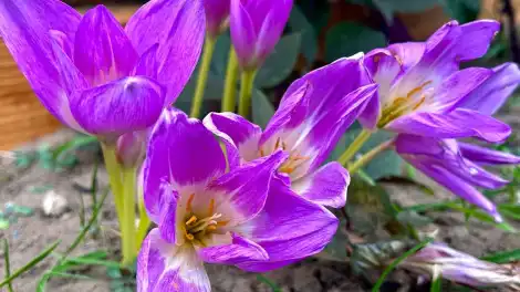 Синоптики рассказали, в каких районах Татарстана потеплеет до +22 градусов - телеканал НТР 24