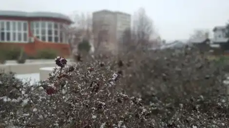 Зима возвращается: в Татарстане похолодает до -4 градусов - телеканал НТР 24