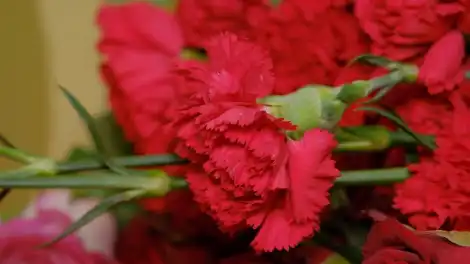 В Нижнекамске прошли траурные церемонии прощания с погибшими в результате происшествия на промышленной площадке - телеканал НТР 24