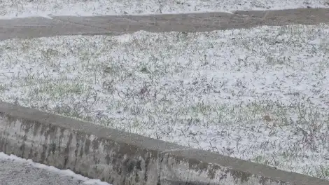 Похолодание и снег придут в Татарстан на следующей неделе - телеканал НТР 24