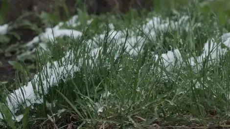 Мокрый снег и гололедица возвращаются в Татарстан - телеканал НТР 24