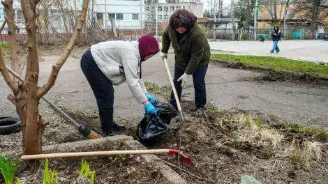 Больше 1,5 тысяч нижнекамцев вышли на Всероссийский субботник - телеканал НТР 24