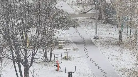 В Татарстане прошел апрельский снегопад - телеканал НТР 24