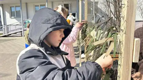Ученики школы №9 Нижнекамска создали волонтерский отряд для помощи участникам СВО - телеканал НТР 24
