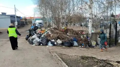 Бетон, баннеры, ветки: в Нижнекамском районе обнаружили несколько свалок - телеканал НТР 24