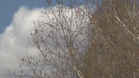 Осторожно, шквалистый ветер: синоптики предупредили об ухудшении погоды в Татарстане - телеканал НТР 24