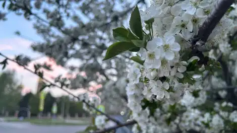 Как отдыхаем на майские праздники в 2026 году - телеканал НТР 24