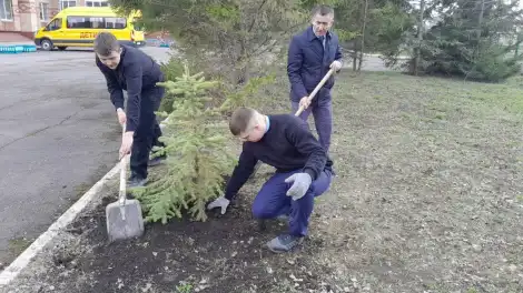 В Нижнекамске школьники высадили деревья в честь погибших героев - телеканал НТР 24