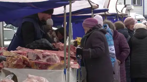 На нижнекамских ярмарках фермеры реализовали продукции более чем на 130 млн рублей - телеканал НТР 24